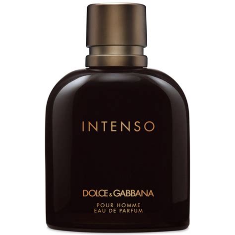 dolce gabbana 125 ml pour homme|dolce and gabbana intenso men.